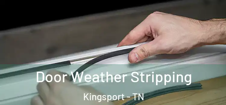 Door Weather Stripping Kingsport - TN