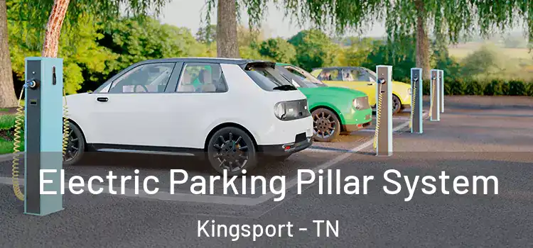 Electric Parking Pillar System Kingsport - TN