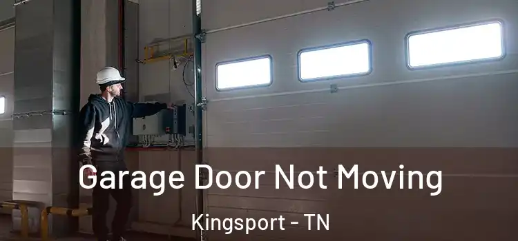  Garage Door Not Moving Kingsport - TN