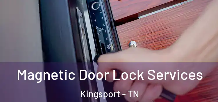 Magnetic Door Lock Services Kingsport - TN