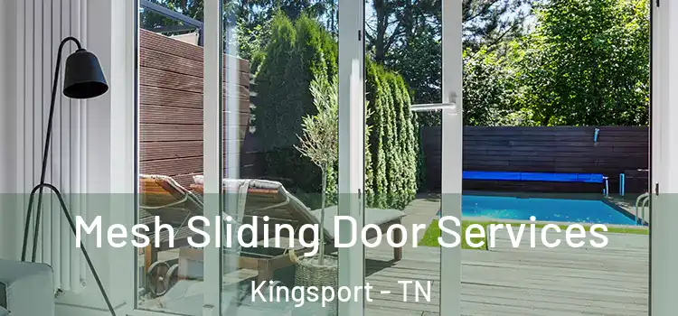 Mesh Sliding Door Services Kingsport - TN
