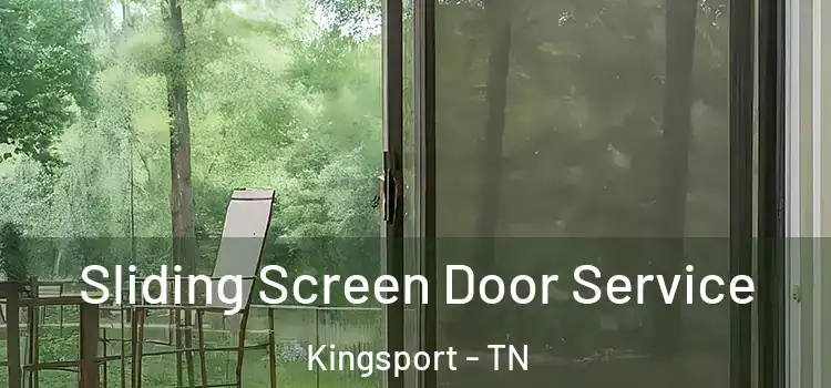 Sliding Screen Door Service Kingsport - TN